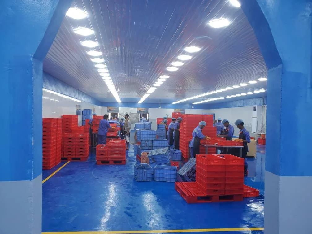 Processing facility overview