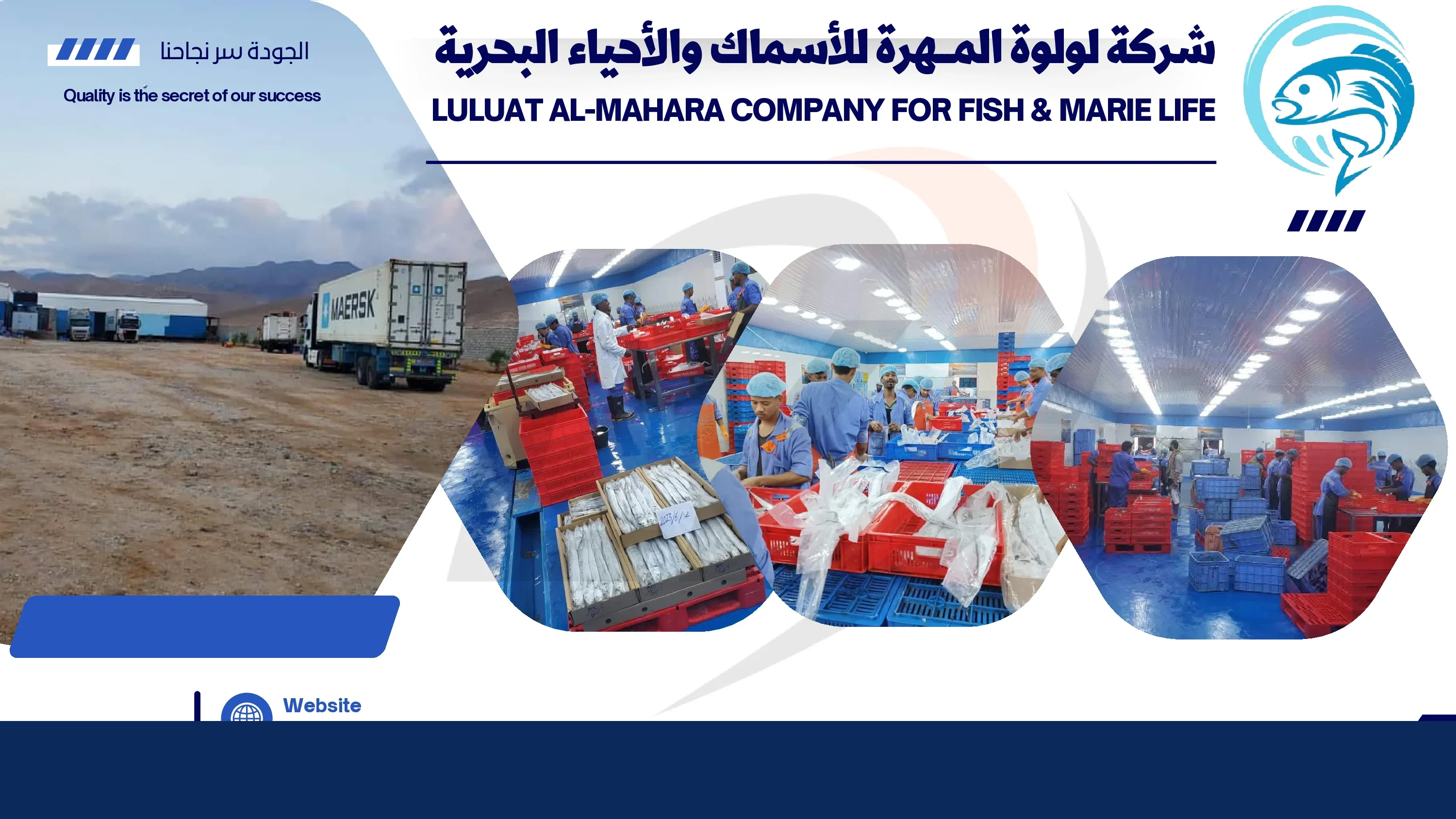Export logistics and branches