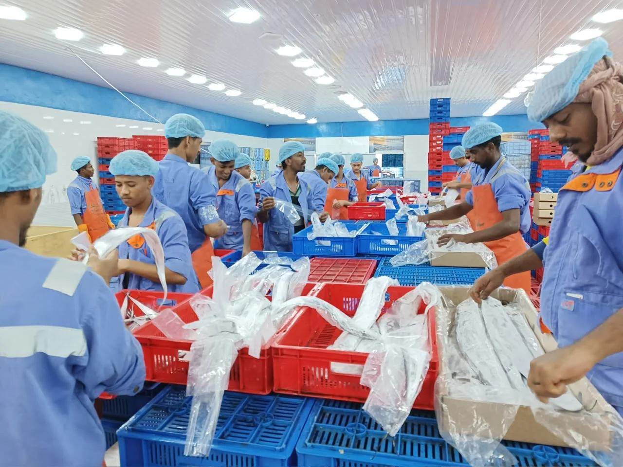 Packaging and export