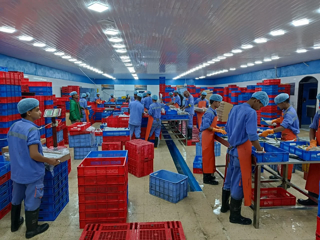 Luluat Al-Mahra processing team